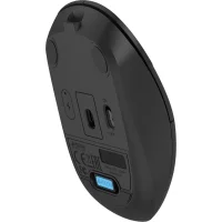 Мышь A4Tech Fstyler FG15C Air2 (черный) фото 2